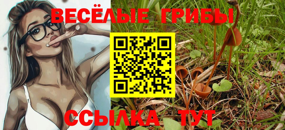 Ишимбай  Псилоцибиновые грибы мицелий  Вход с VPN 